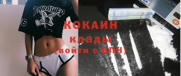 прущие грибы Богородск