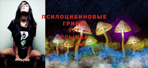 jwh Богородицк