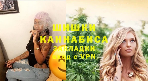 прущие грибы Богородск
