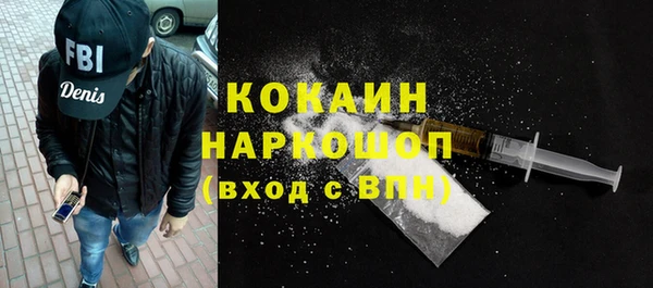 прущие грибы Богородск