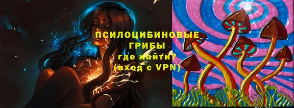 прущие грибы Богородск