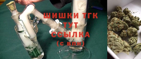 прущие грибы Богородск
