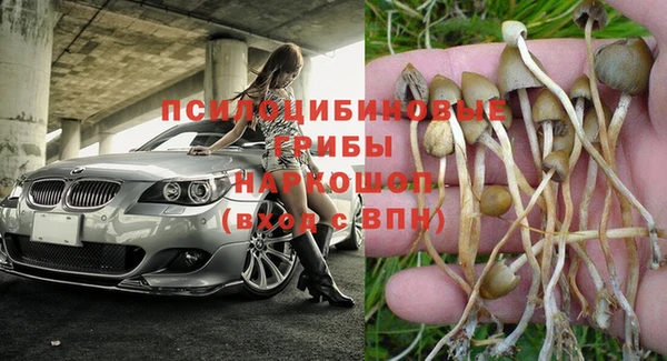 jwh Богородицк