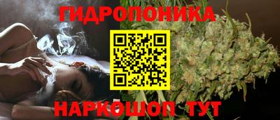 spice Тверь