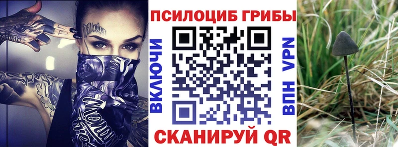 Галлюциногенные грибы Cubensis  OMG онион  Обь 