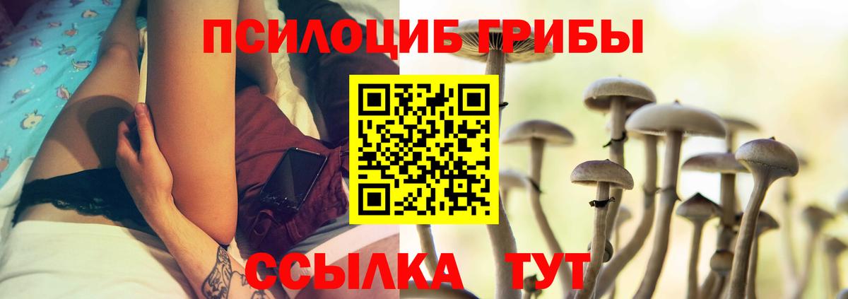 Псилоцибиновые грибы Magic Shrooms  Вход с VPN  купить  сайты  Обь 